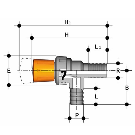 RMRPV