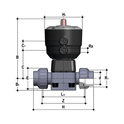 DKUIC/CP NC