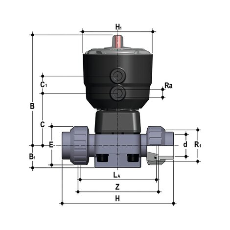 DKUIC/CP NC DKUIC/CP NC