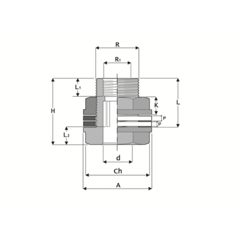AS3 - Conexión del depósito
