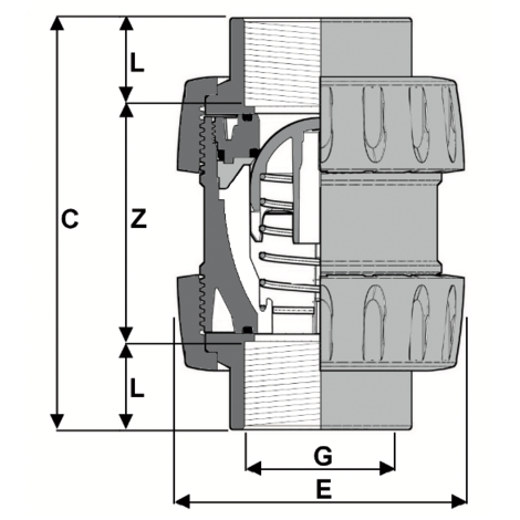 1V230 - Válvula antirretorno de muelle y pistón bonete