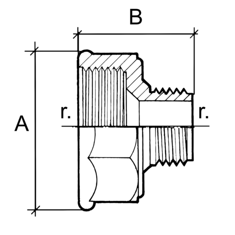 Reducción hembra macho