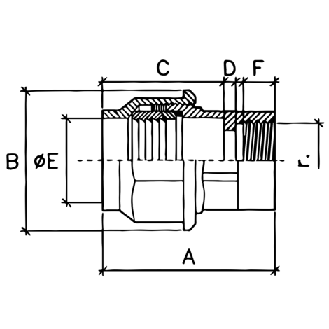 Enlace mixto rosca hembra