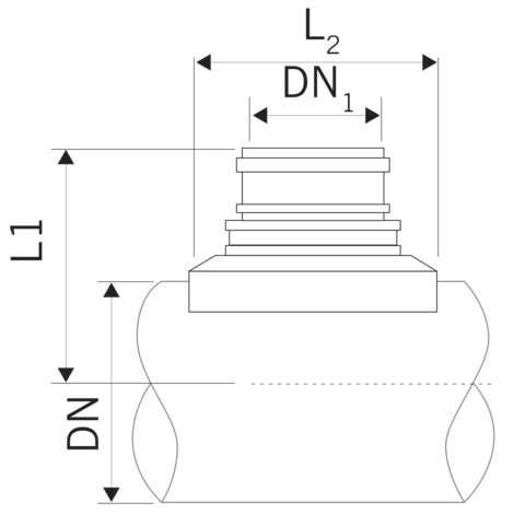 Easy Boss, injerto seguridad.
