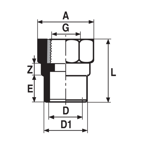 HMMS - Terminal rosca hembra