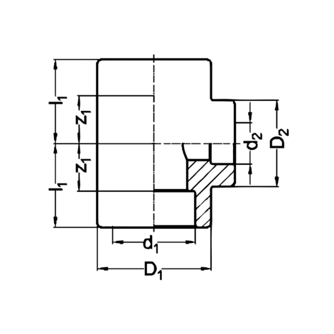 Te reducida al centro