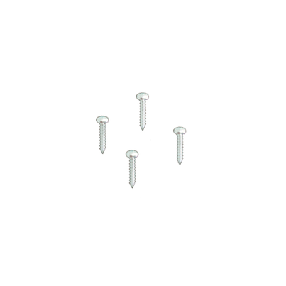 Conjunto tornillos acero inoxidable (4 uds.)(CAMALEON 100)