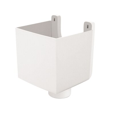 Toma de gárgola blanco Ø100