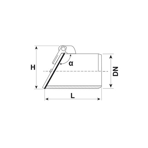 Válvula de clapeta - Macho