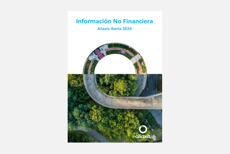 Estado de Información No Financiera 2024
